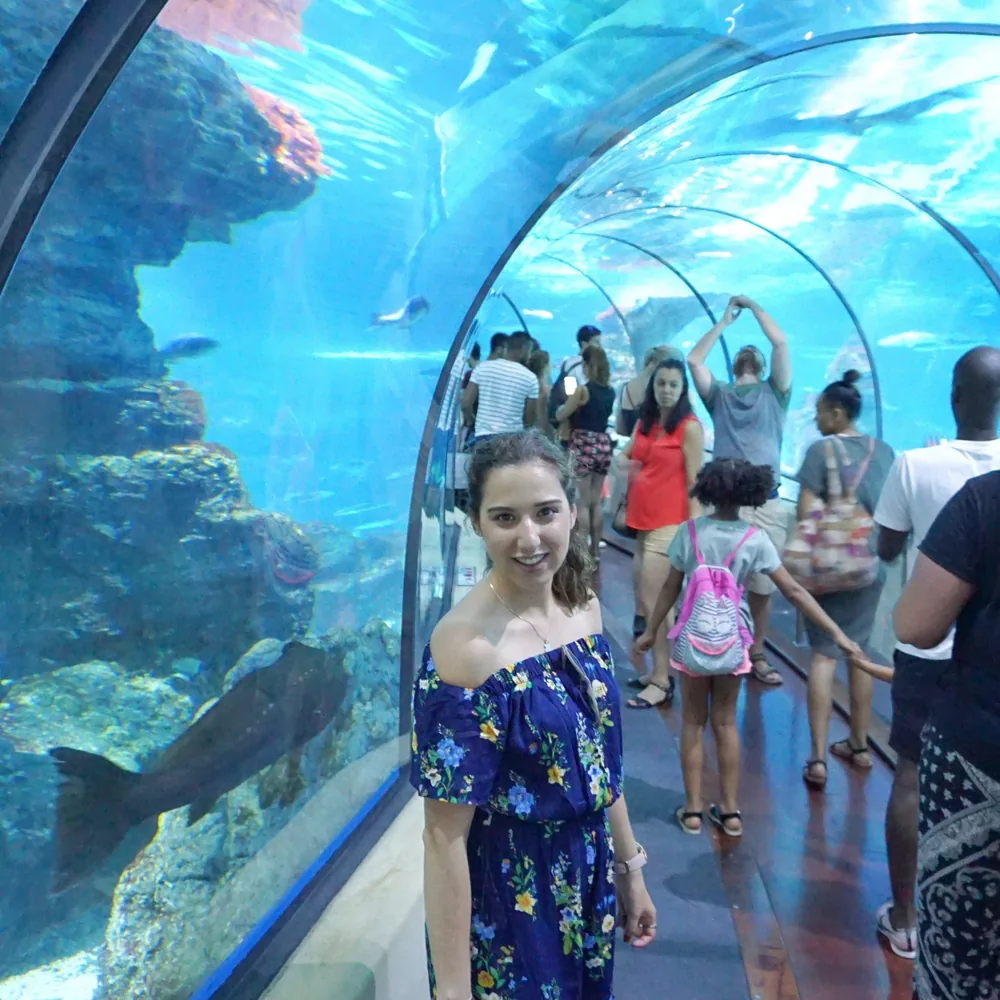 Barcelona Travel Itinerary Roteiro de Viagem itinerario de viaje 5 day dias 3
