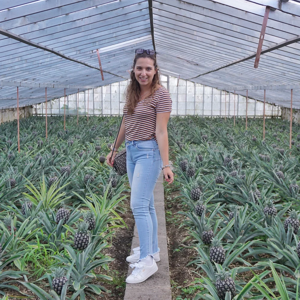 Ananases Arruda