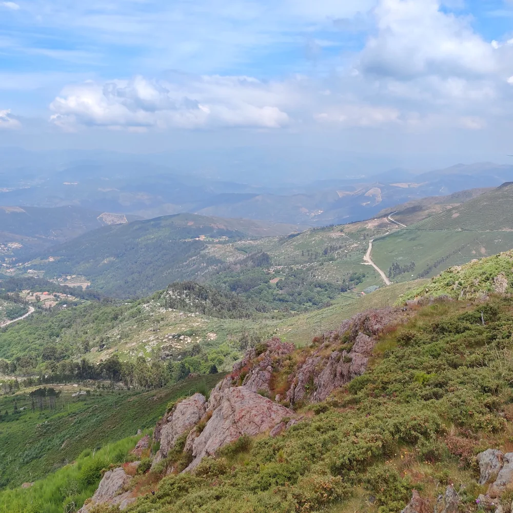 Detrelo da Malhada