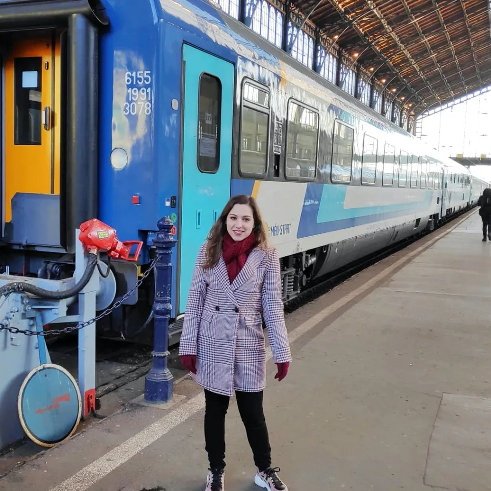 On the station, before entering the train