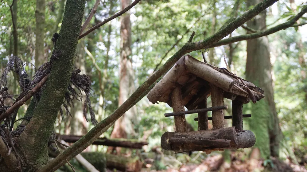 Parque Grená Azores Açores São Miguel Furnas Povoação Viagem