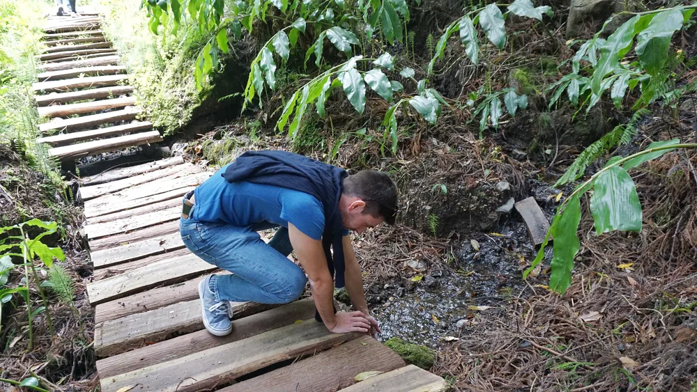 Parque Grená Azores Açores São Miguel Furnas Povoação Viagem