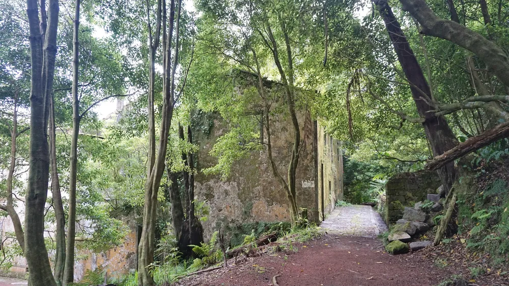 Parque Grená Azores Açores São Miguel Furnas Povoação Viagem