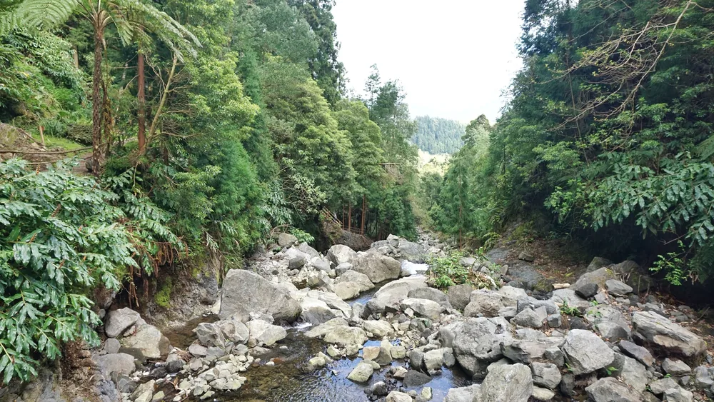 Parque Grená Azores Açores São Miguel Furnas Povoação Viagem