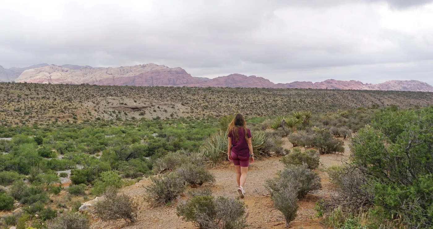 Red Rock Canyon: A Day Trip from Vegas