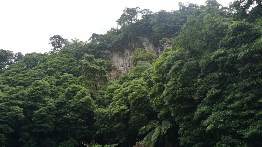 Parque Natural da Ribeira dos Caldeirões Nordeste São Miguel Açores Portugal Viagem