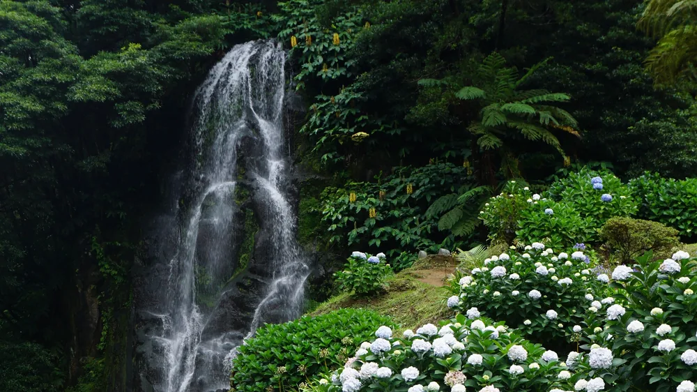 Parque Natural da Ribeira dos Caldeirões Nordeste São Miguel Açores Portugal Viagem