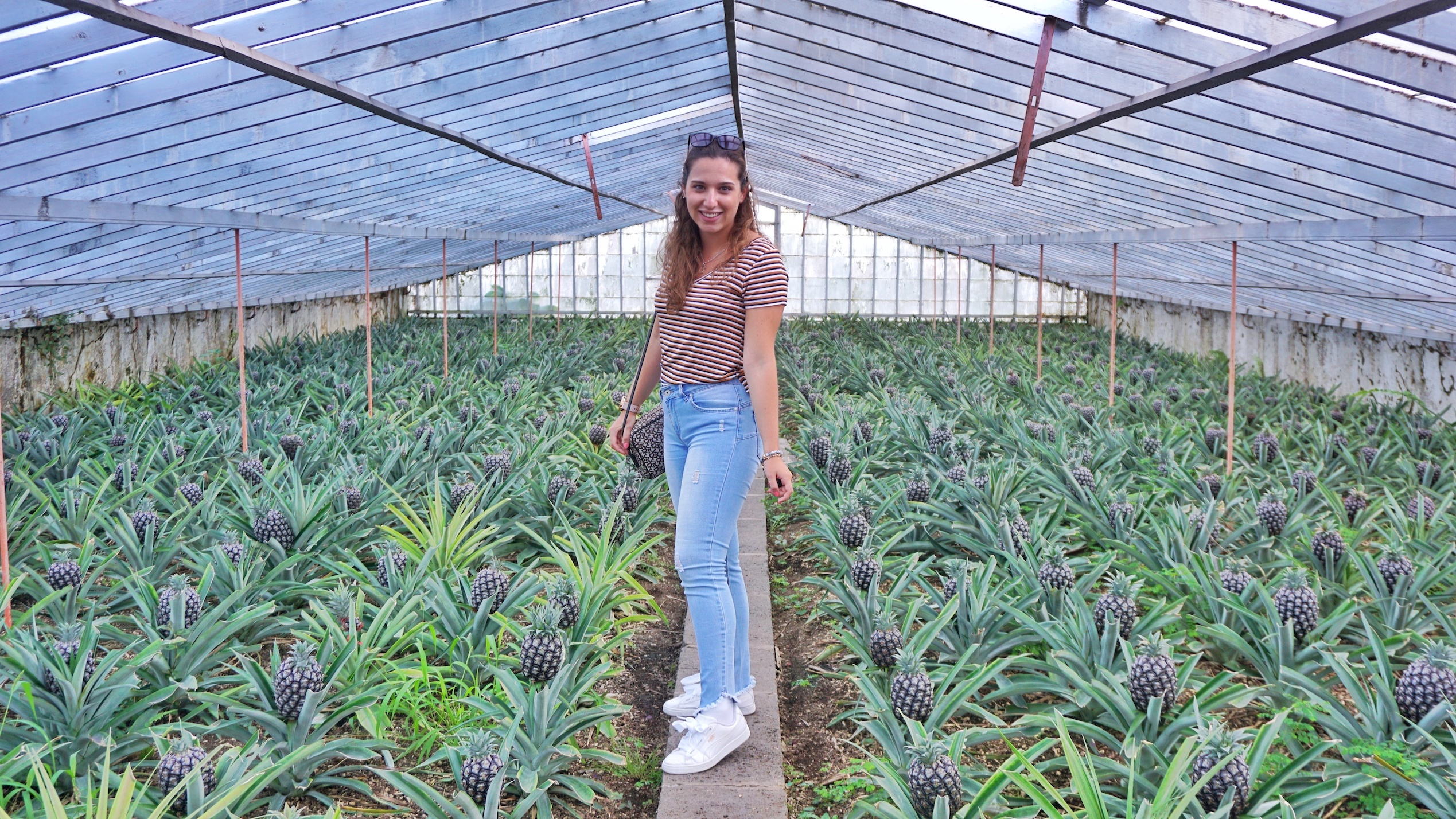 Ananases A Arruda Azores Açores Ponta Delgada Portugal Visit Visitar World to Explore Girl Travel Blog